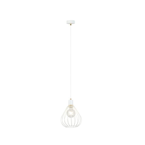 Hanglamp Focus 1 Wit/Goud Ø 23 cm